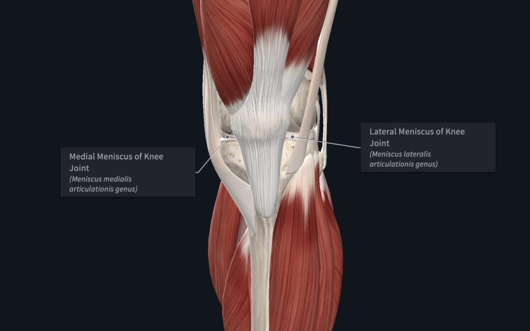 Meniscus Injury | Dr. Abbate Physical Therapy