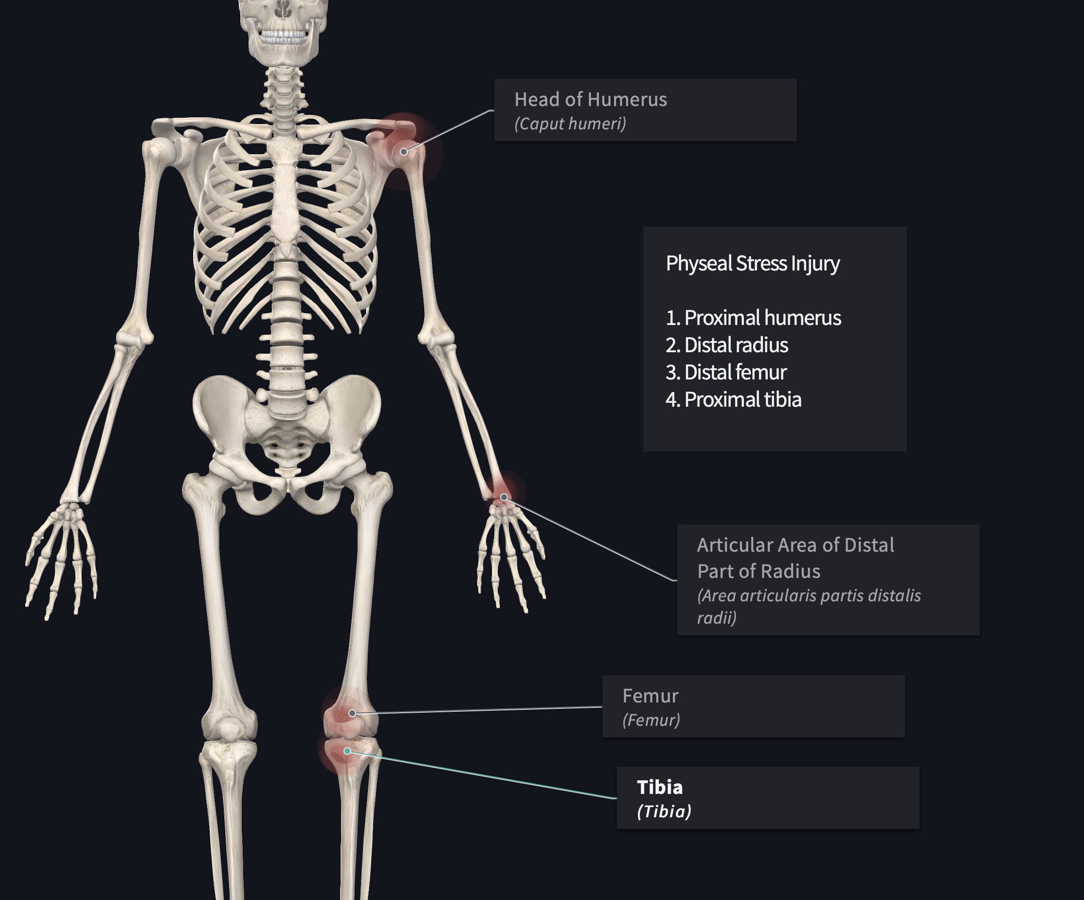 physeal-stress-injuries-in-youth-athletes-dr-abbate-physical-therapy