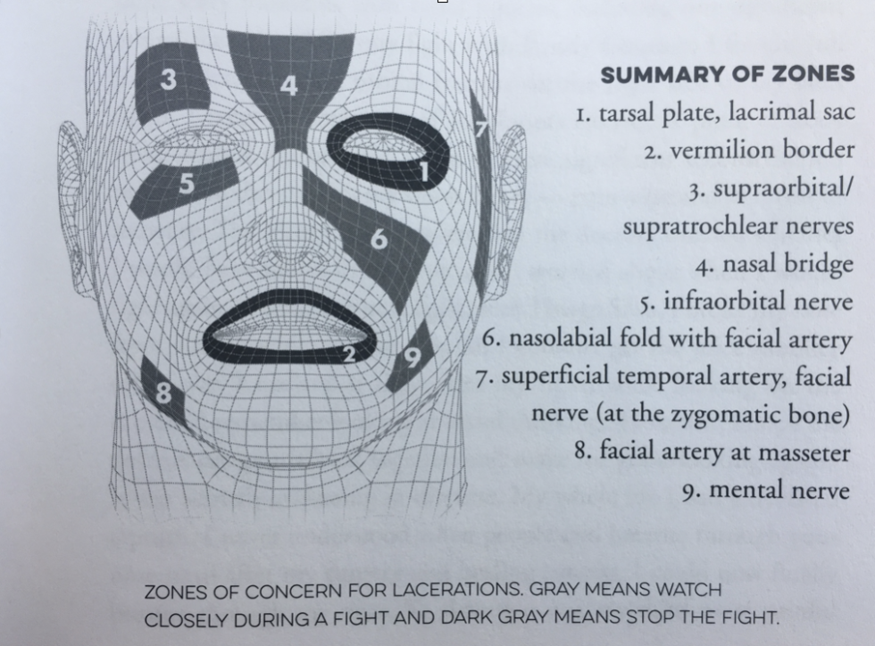 Facial Injuries In Combat Sports | Dr. Abbate Physical Therapy